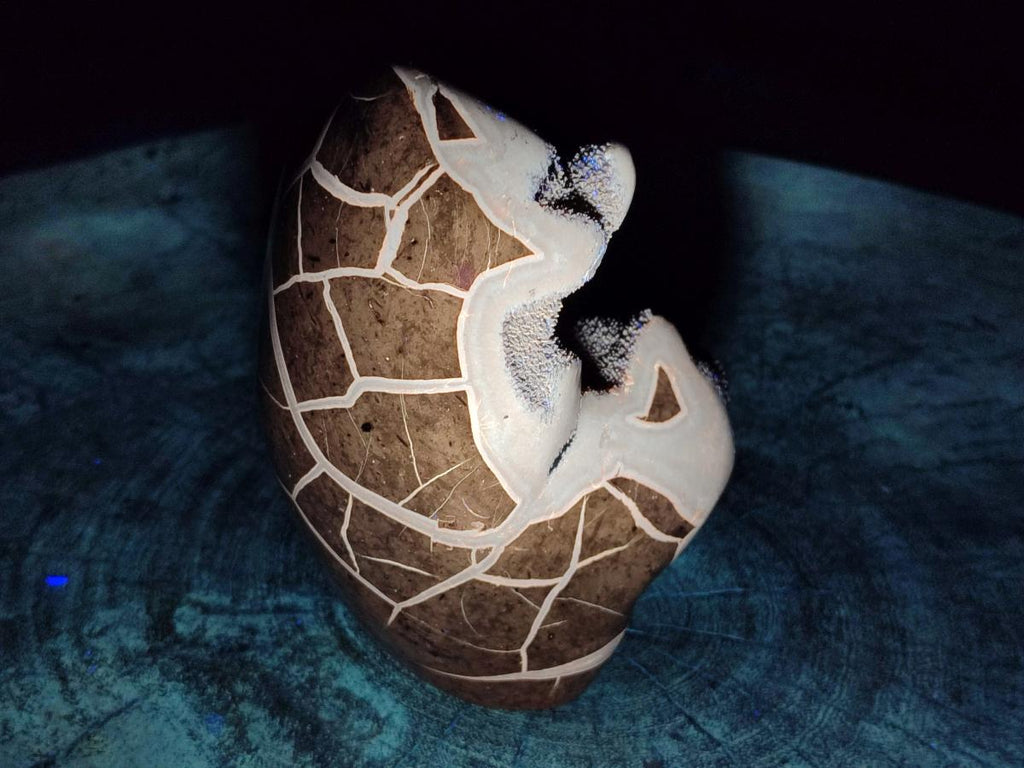 Polished Septerye Sauvage "Dragons Egg" Geode Standing Free Form x 1 From Mahajanga, Madagascar