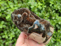 Polished Septerye Sauvage "Dragons Egg" Geode Standing Free Form x 1 From Mahajanga, Madagascar