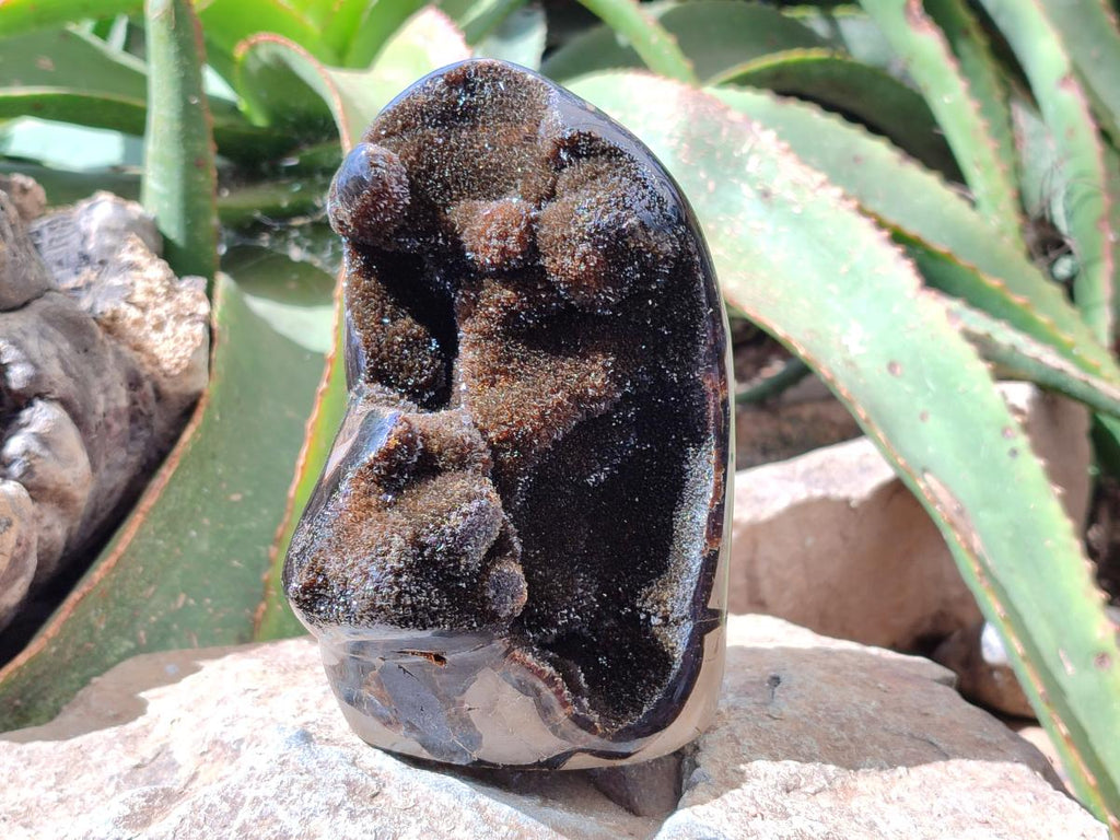 Polished Septerye Sauvage "Dragons Egg" Geode Standing Free Form x 1 From Mahajanga, Madagascar