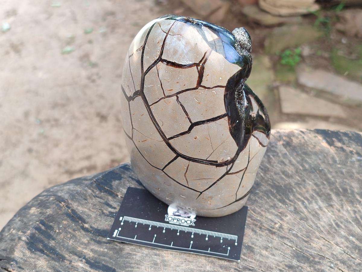 Polished Septerye Sauvage "Dragons Egg" Geode Standing Free Form x 1 From Mahajanga, Madagascar