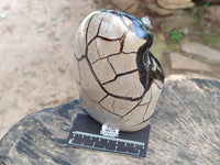 Polished Septerye Sauvage "Dragons Egg" Geode Standing Free Form x 1 From Mahajanga, Madagascar