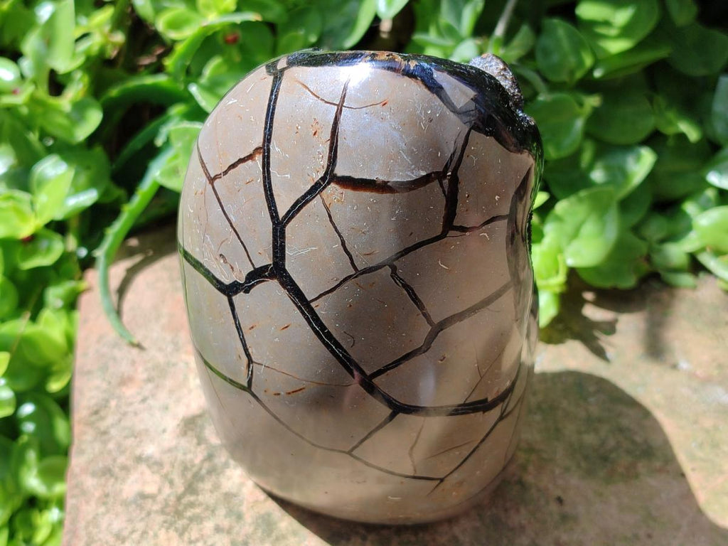 Polished Septerye Sauvage "Dragons Egg" Geode Standing Free Form x 1 From Mahajanga, Madagascar