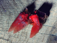 Natural Drusy Quartz Coated Spearhead Calcite Specimens x 35 From Albert's Mountain, Lesotho