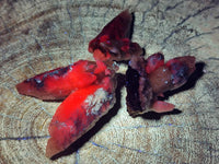 Natural Drusy Quartz Coated Spearhead Calcite Specimens x 35 From Albert's Mountain, Lesotho