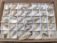 Natural Drusy Quartz Coated Spearhead Calcite Specimens x 35 From Albert's Mountain, Lesotho