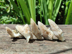 Natural Drusy Quartz Coated Spearhead Calcite Specimens x 35 From Albert's Mountain, Lesotho
