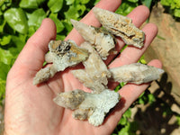 Natural Drusy Quartz Coated Spearhead Calcite Specimens x 35 From Albert's Mountain, Lesotho
