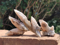 Natural Drusy Quartz Coated Spearhead Calcite Specimens x 35 From Albert's Mountain, Lesotho