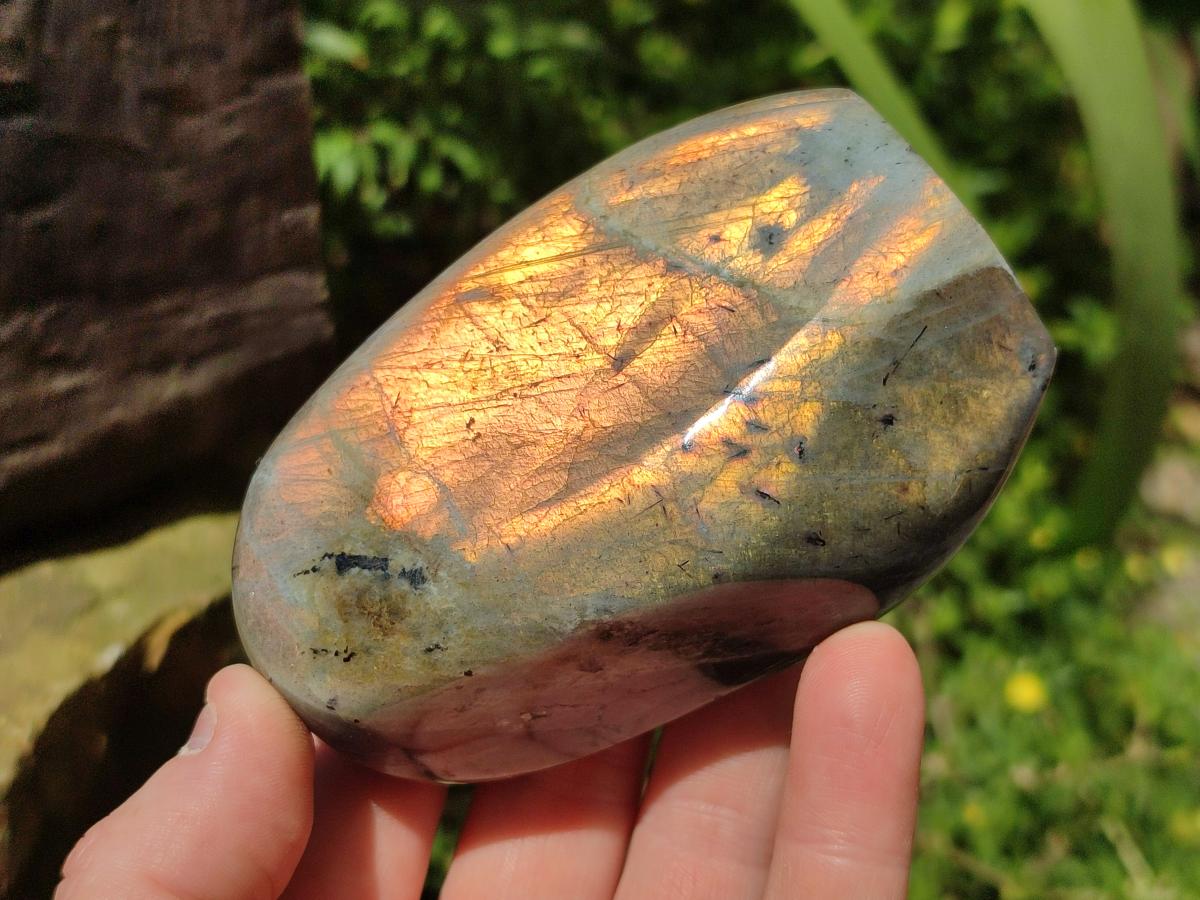 Polished Labradorite Standing Free Forms x 3 From Madagascar