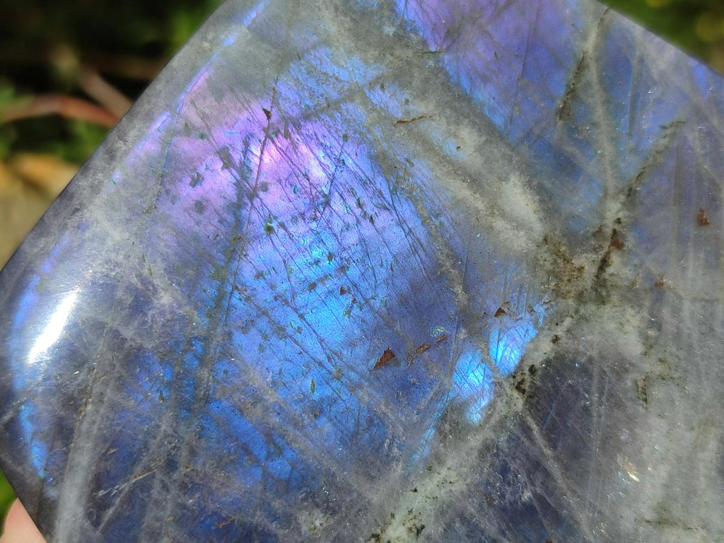 Polished Labradorite Standing Free Forms x 3 From Madagascar