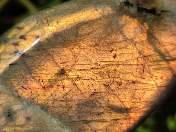 Polished Labradorite Standing Free Forms x 3 From Madagascar