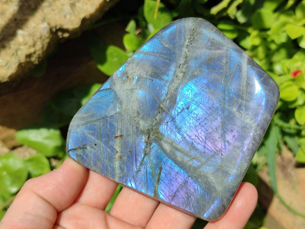 Polished Labradorite Standing Free Forms x 3 From Madagascar