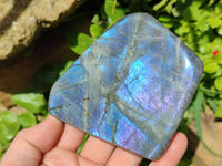 Polished Labradorite Standing Free Forms x 3 From Madagascar
