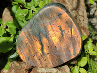 Polished Labradorite Standing Free Forms x 3 From Madagascar