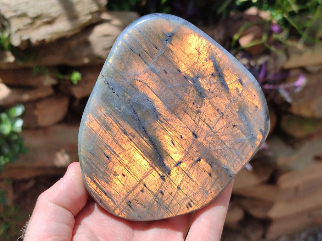 Polished Labradorite Standing Free Forms x 3 From Madagascar