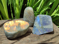 Polished Labradorite Standing Free Forms x 3 From Madagascar