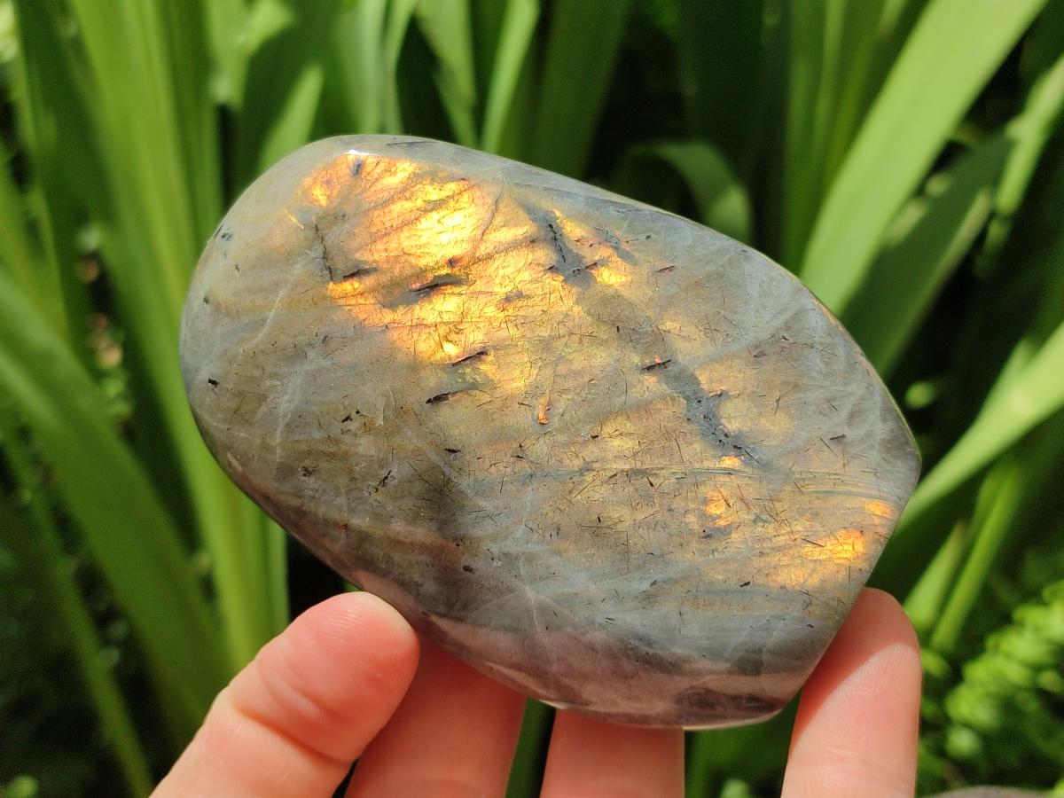 Polished Labradorite Standing Free Forms x 3 From Madagascar