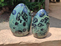 Polished Stromatolite Standing Free Forms x 3 From Katsepy, Madagascar