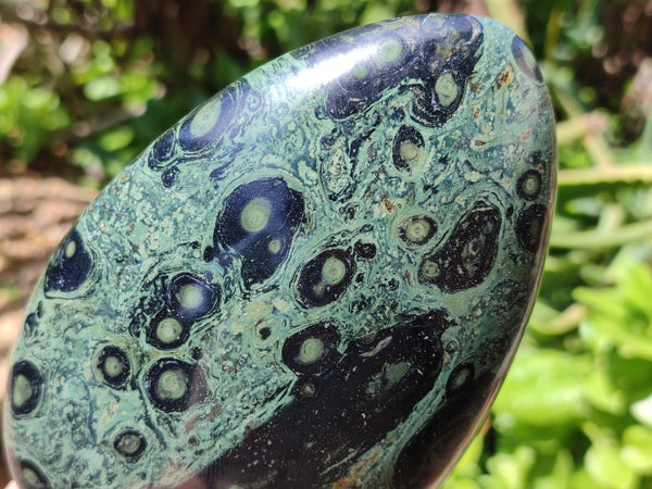 Polished Stromatolite Standing Free Forms x 3 From Katsepy, Madagascar