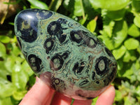 Polished Stromatolite Standing Free Forms x 3 From Katsepy, Madagascar