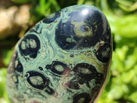 Polished Stromatolite Standing Free Forms x 3 From Katsepy, Madagascar