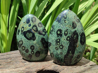 Polished Stromatolite Standing Free Forms x 3 From Katsepy, Madagascar