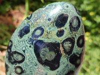 Polished Stromatolite Standing Free Forms x 3 From Katsepy, Madagascar