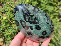 Polished Stromatolite Standing Free Forms x 3 From Katsepy, Madagascar