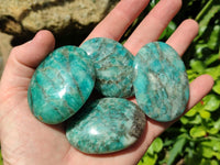 Polished Tiger Amazonite Palm Stones x 24 From Madagascar