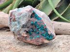 Natural Large Dioptase Specimen x 1 From Kaokoveld Namibia