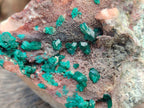 Natural Large Dioptase Specimen x 1 From Kaokoveld Namibia