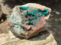 Natural Large Dioptase Specimen x 1 From Kaokoveld Namibia