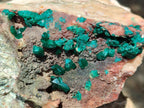 Natural Large Dioptase Specimen x 1 From Kaokoveld Namibia
