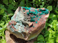 Natural Large Dioptase Specimen x 1 From Kaokoveld Namibia