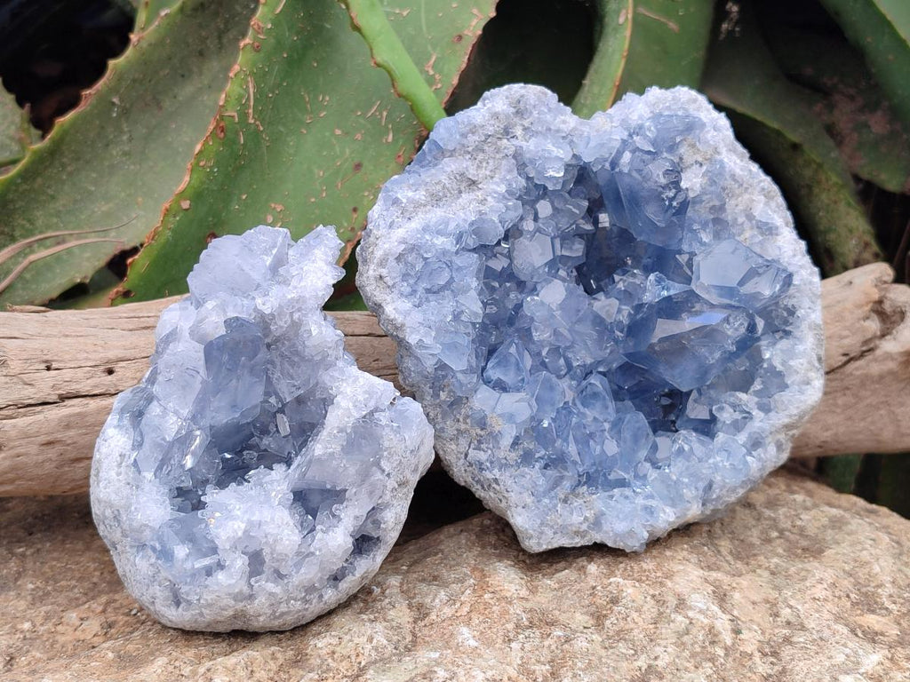 Natural Blue Celestite Specimens x 2 From Sakoany, Madagascar