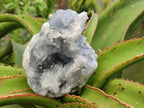 Natural Blue Celestite Specimens x 2 From Sakoany, Madagascar