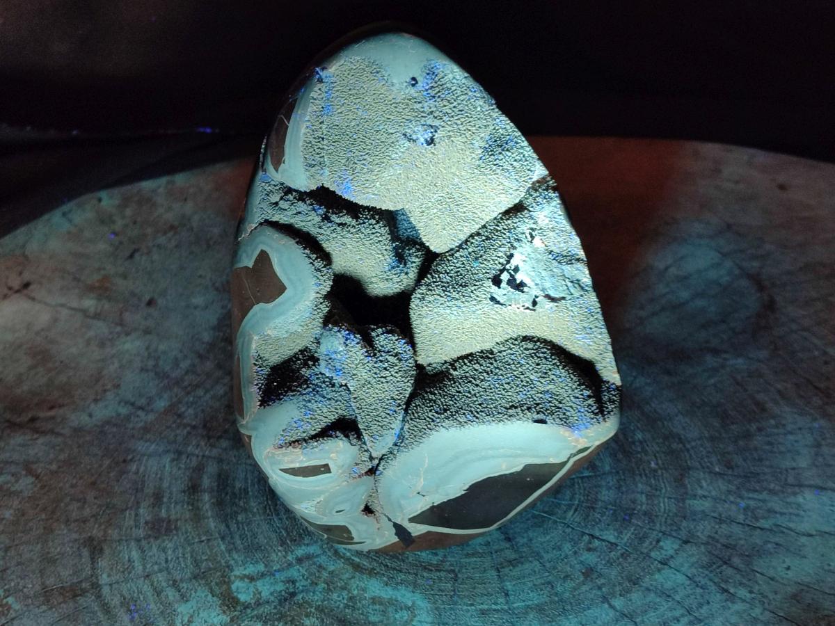 Polished Septerye Sauvage "Dragons Egg" Geode Standing Free Form x 1 From Mahajanga, Madagascar