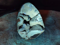 Polished Septerye Sauvage "Dragons Egg" Geode Standing Free Form x 1 From Mahajanga, Madagascar