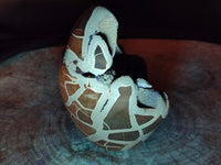 Polished Septerye Sauvage "Dragons Egg" Geode Standing Free Form x 1 From Mahajanga, Madagascar