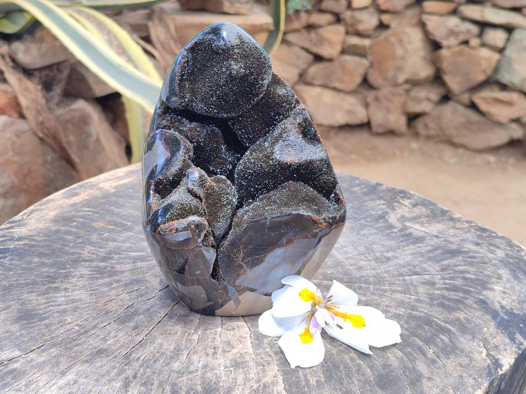 Polished Septerye Sauvage "Dragons Egg" Geode Standing Free Form x 1 From Mahajanga, Madagascar