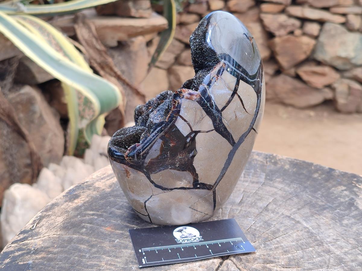 Polished Septerye Sauvage "Dragons Egg" Geode Standing Free Form x 1 From Mahajanga, Madagascar