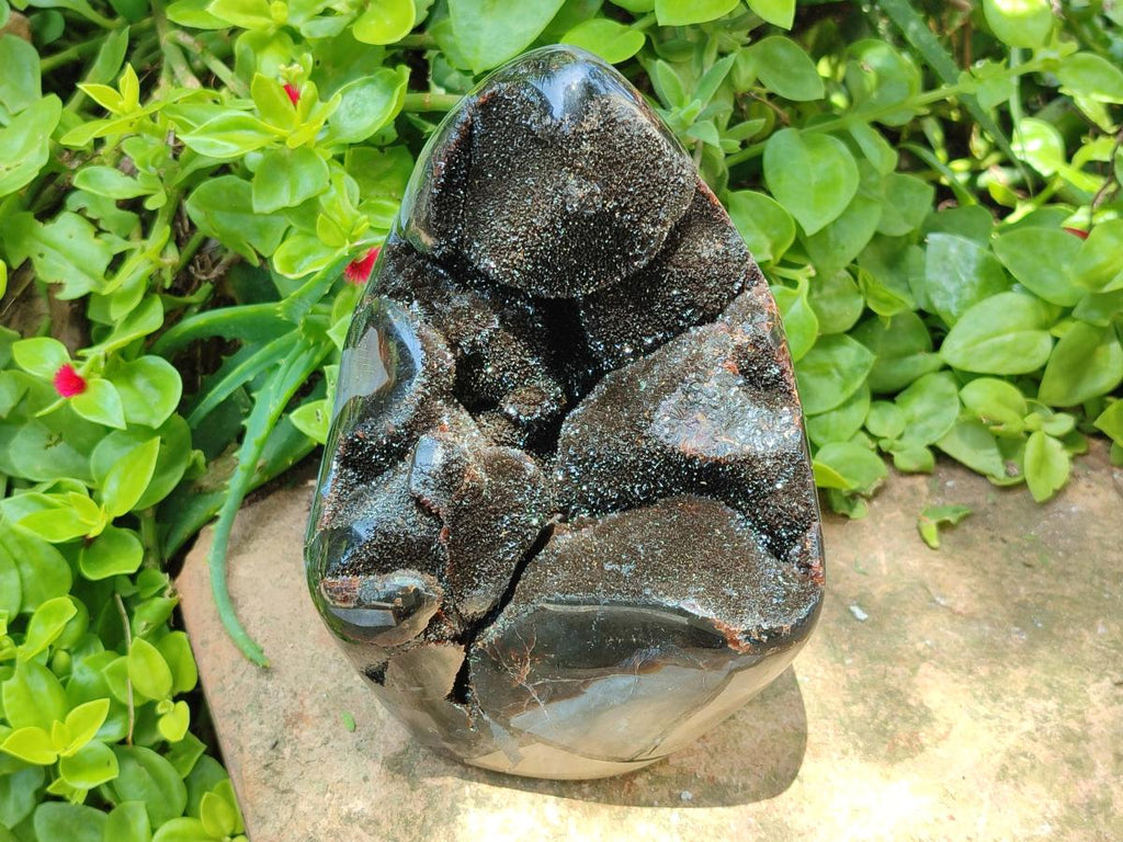 Polished Septerye Sauvage "Dragons Egg" Geode Standing Free Form x 1 From Mahajanga, Madagascar