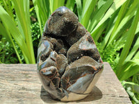 Polished Septerye Sauvage "Dragons Egg" Geode Standing Free Form x 1 From Mahajanga, Madagascar