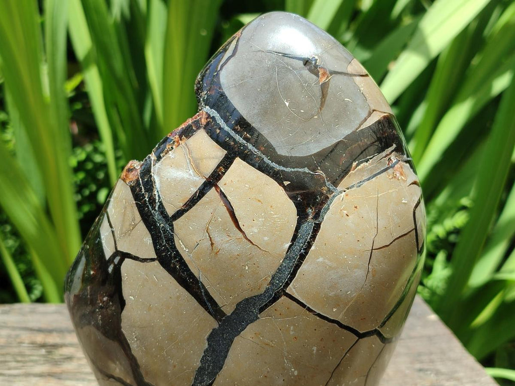 Polished Septerye Sauvage "Dragons Egg" Geode Standing Free Form x 1 From Mahajanga, Madagascar