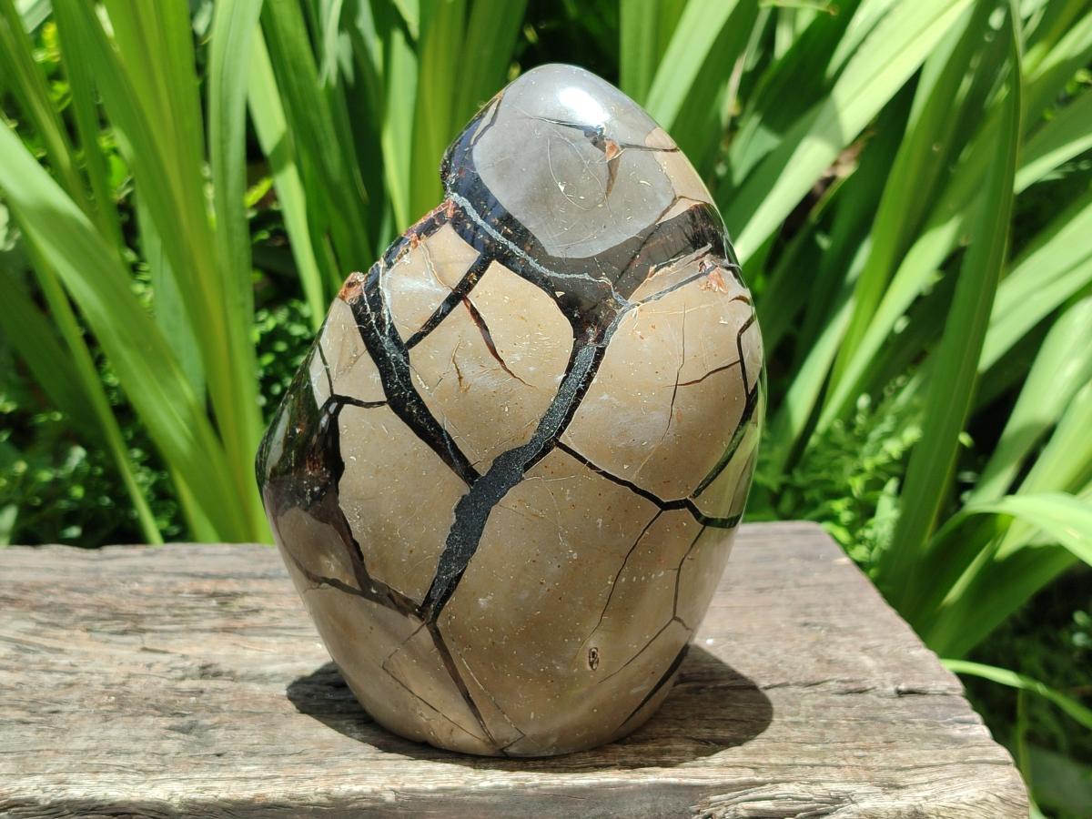 Polished Septerye Sauvage "Dragons Egg" Geode Standing Free Form x 1 From Mahajanga, Madagascar