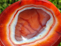 Polished Carnelian Agate Gemstone Bowls x 2 From Madagascar