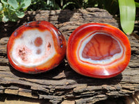 Polished Carnelian Agate Gemstone Bowls x 2 From Madagascar