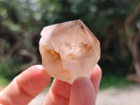 Polished Smokey Quartz Crystal Terminations x 20 From Madagascar