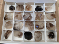 Polished Smokey Quartz Crystal Terminations x 20 From Madagascar