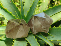 Polished Smokey Quartz Crystal Terminations x 20 From Madagascar